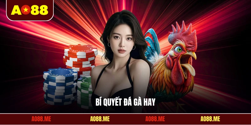 Bí quyết đá gà hay